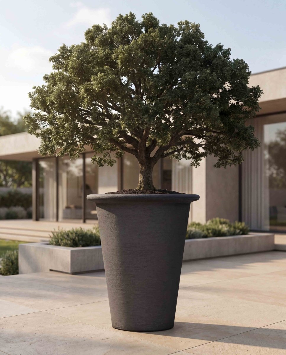 Tall Classic Vase | Terra Collection | Black Sand - ESCHBACH