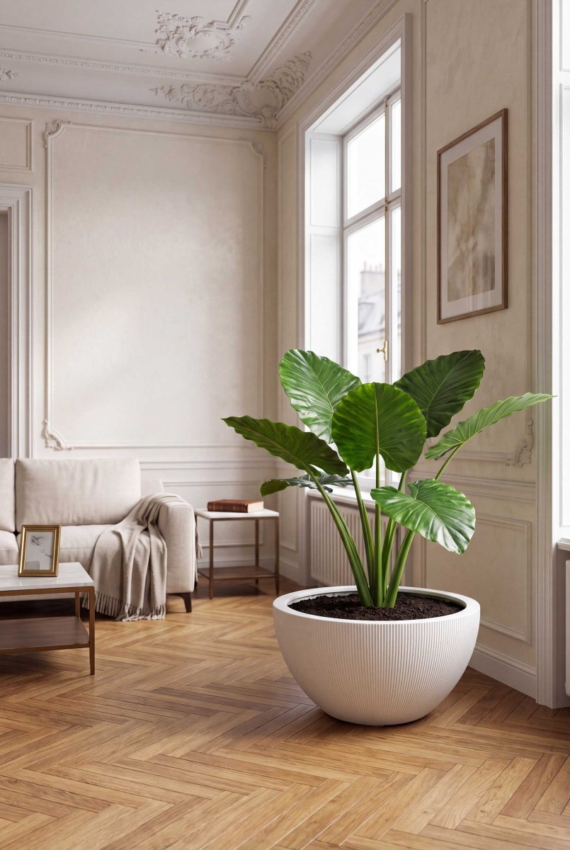 Low Egg Pot | Vertical Lines Collection | Vertical White - ESCHBACH