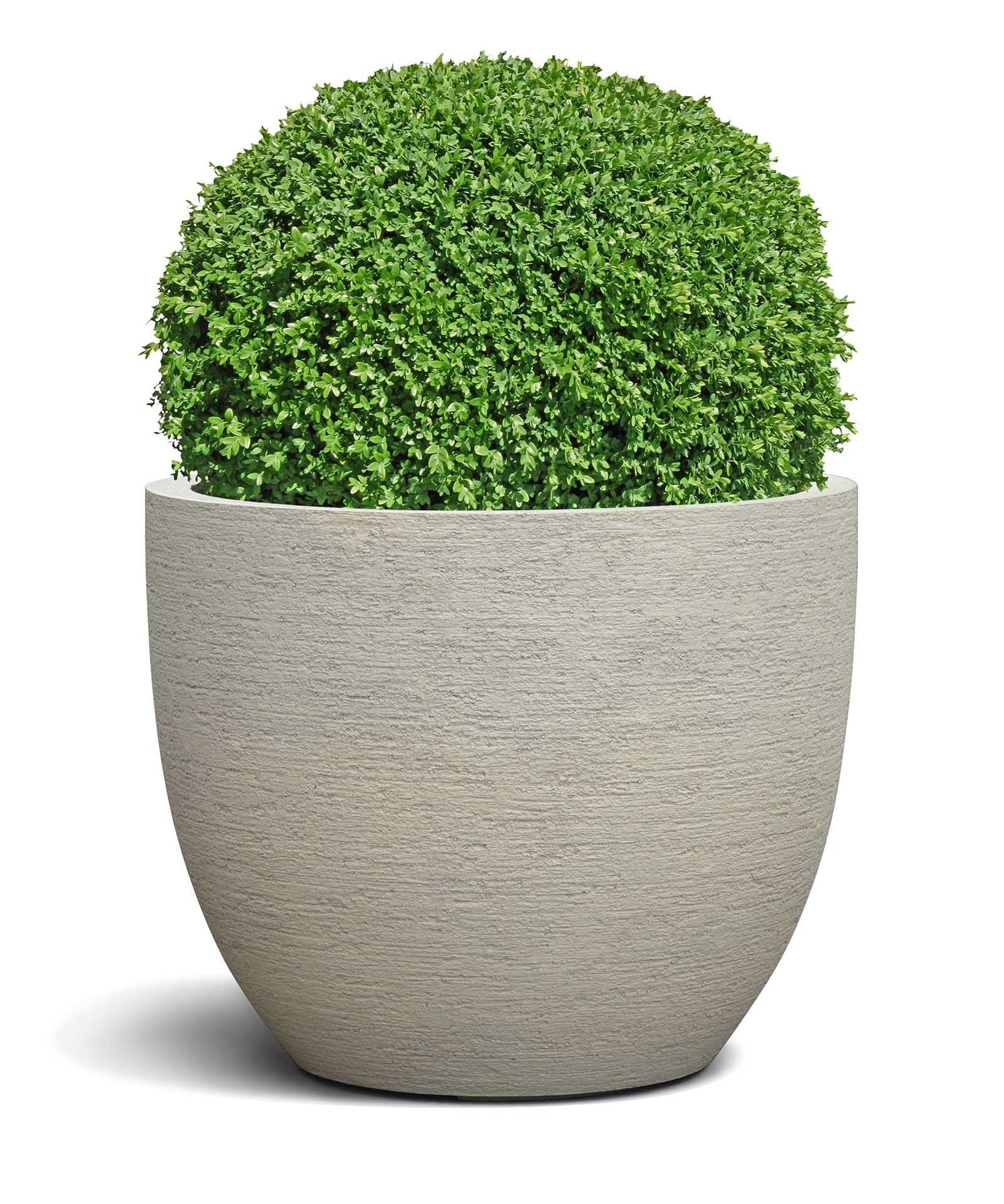 New Egg Pot | Terra Collection | Champagne White