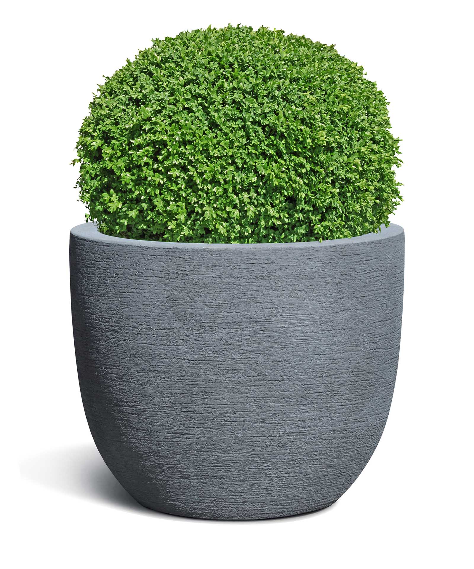 New Egg Pot | Terra Collection | Lead Grey