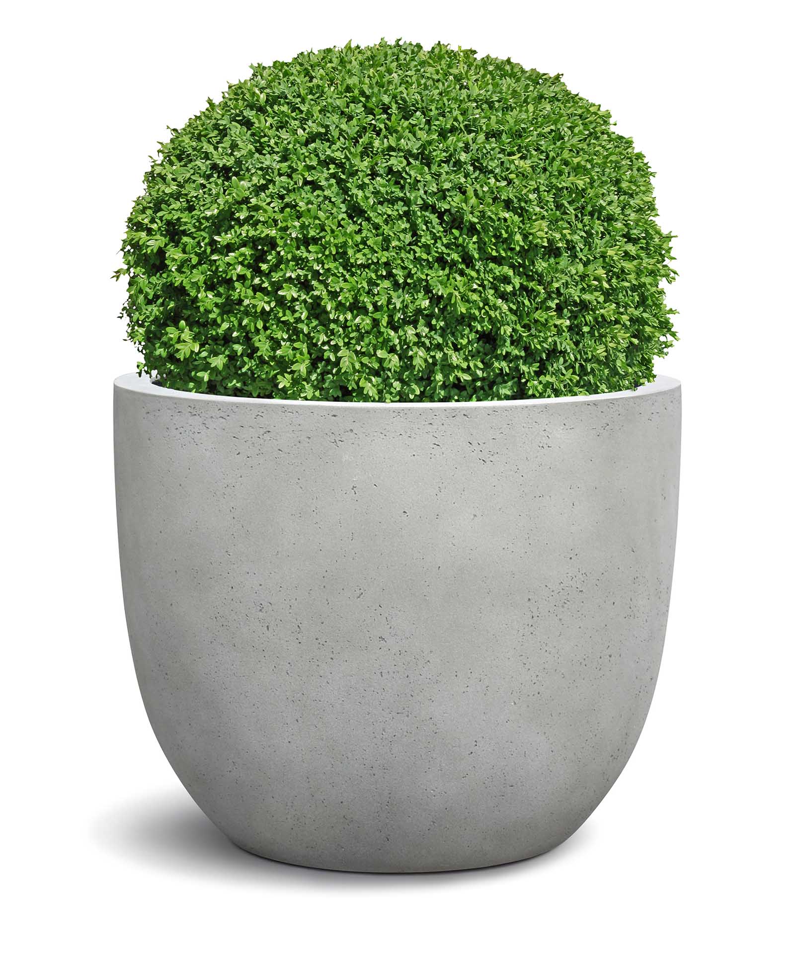 New Egg Pot | Loft Collection | Light Grey