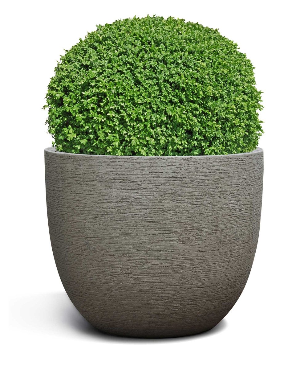 New Egg Pot | Terra Collection | Macchiato Grey - ESCHBACH