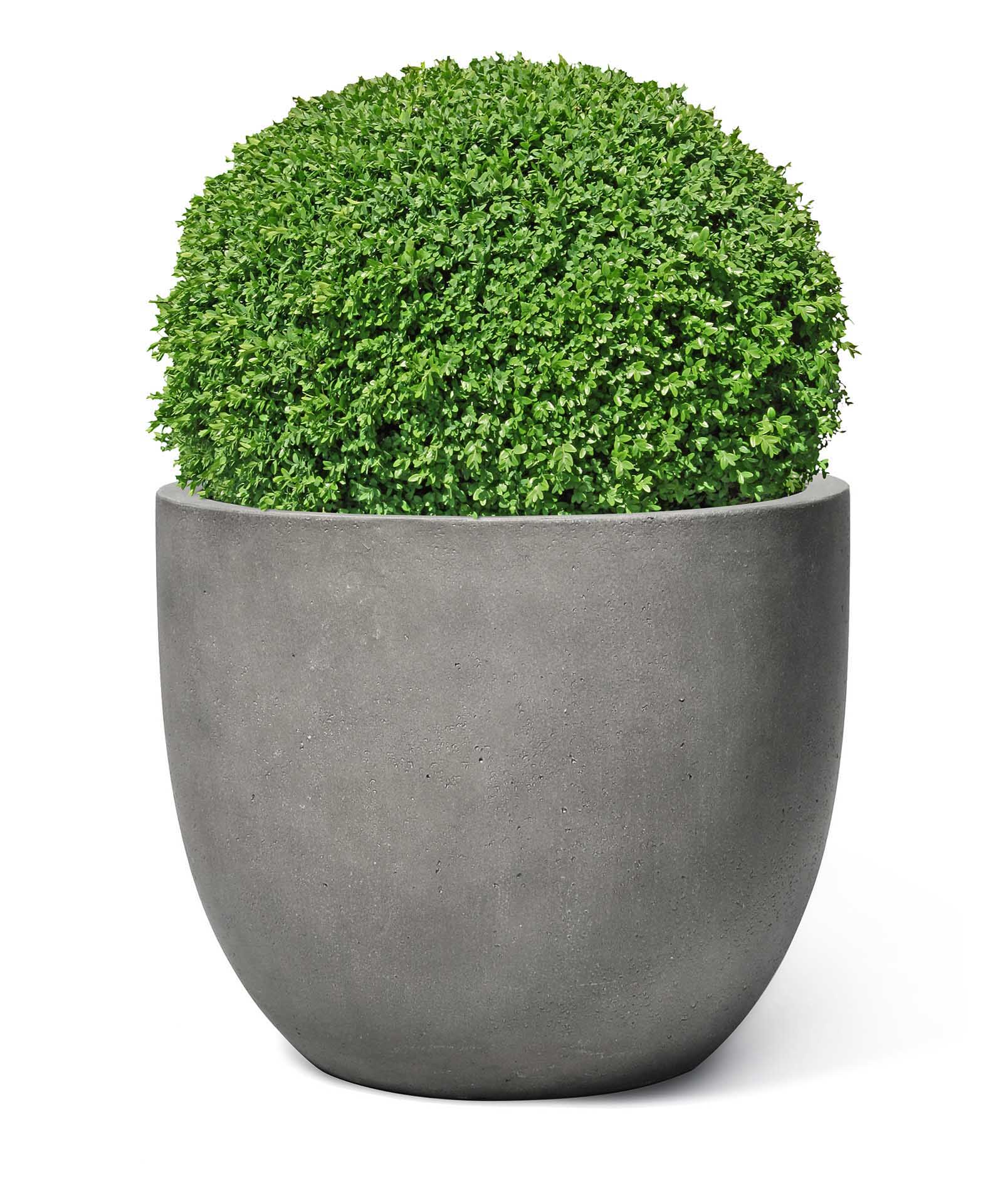 New Egg Pot | Loft Collection | Concrete Grey