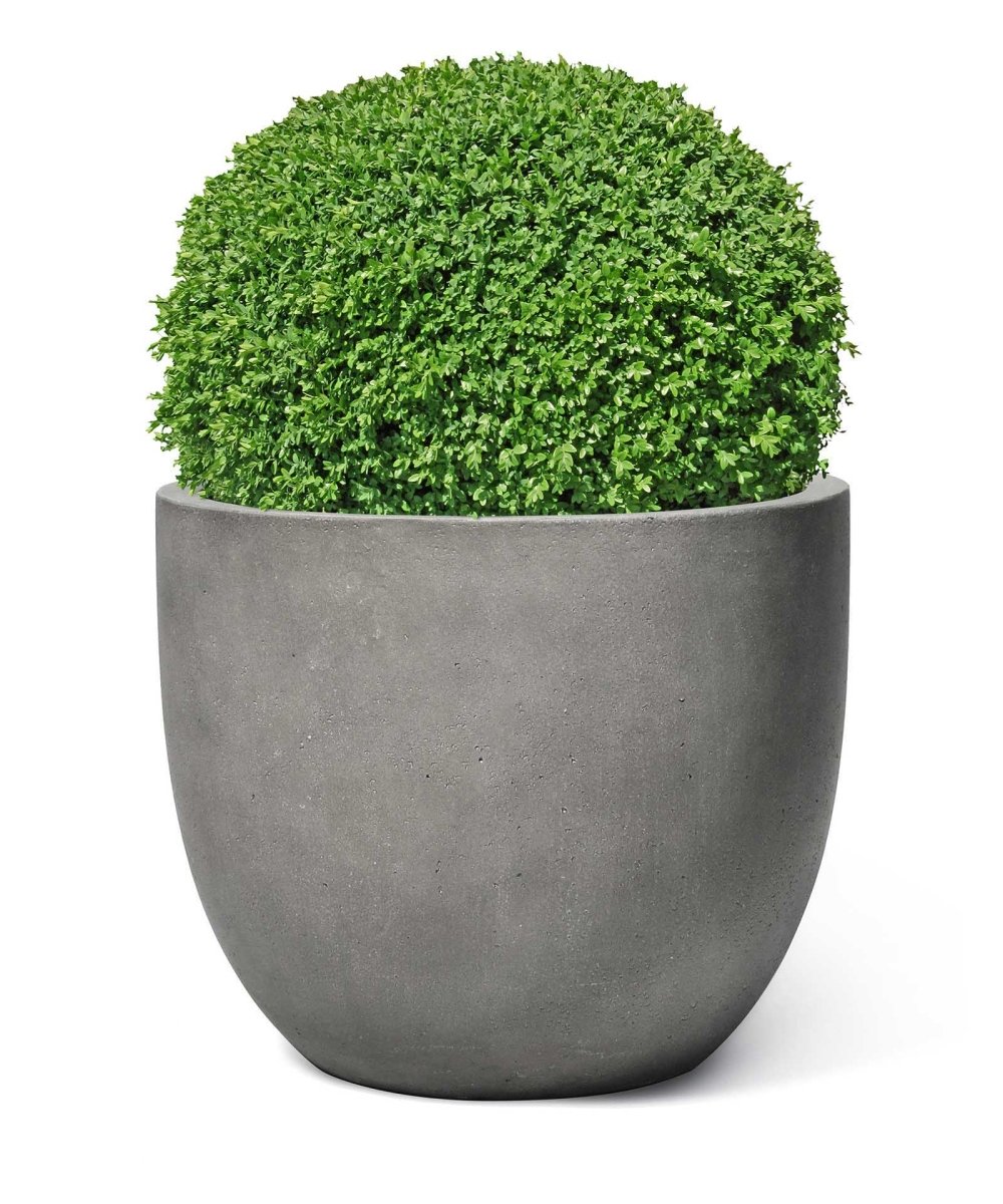 New Egg Pot | Loft Collection | Concrete Grey - ESCHBACH
