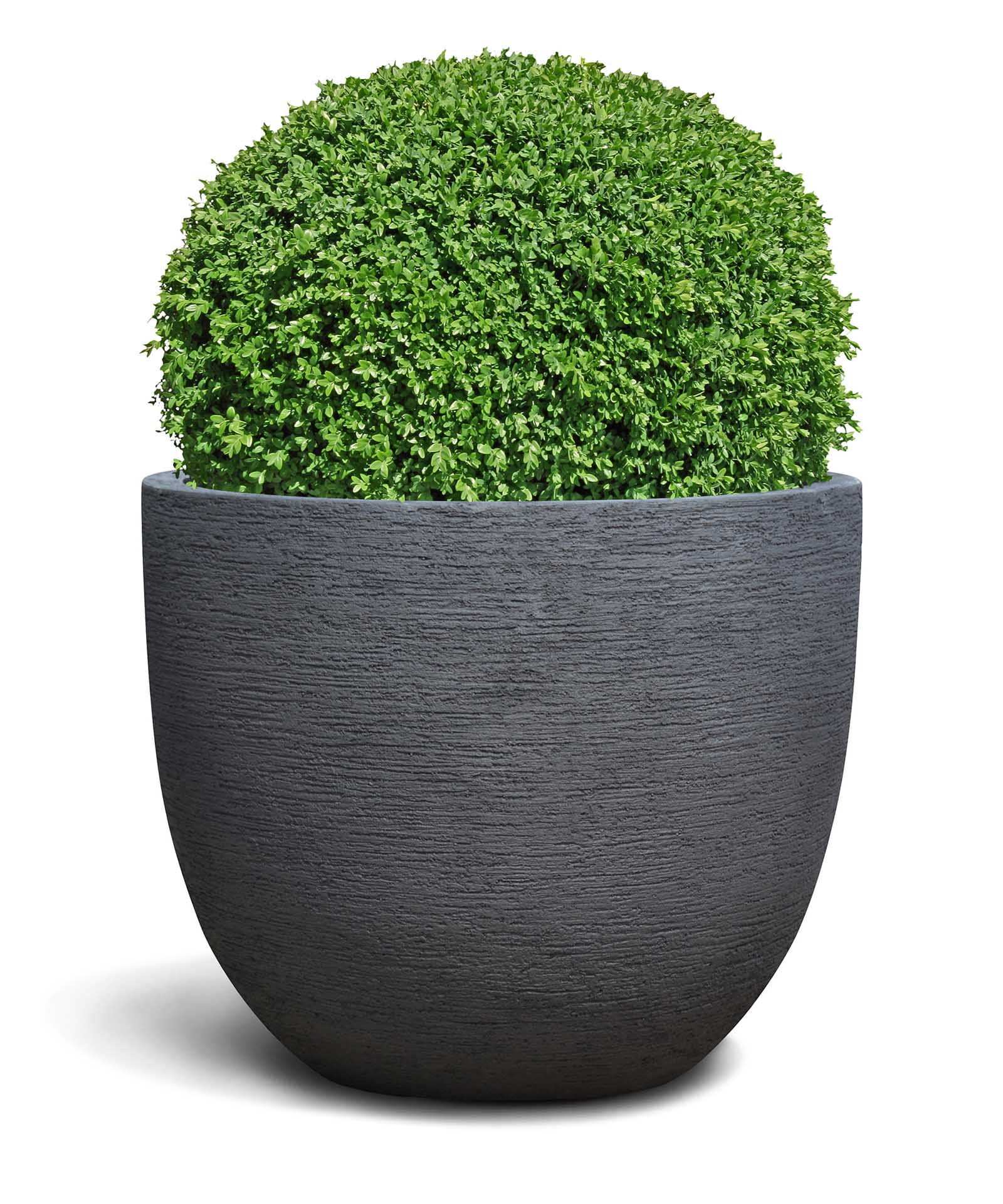 New Egg Pot | Terra Collection | Black Sand