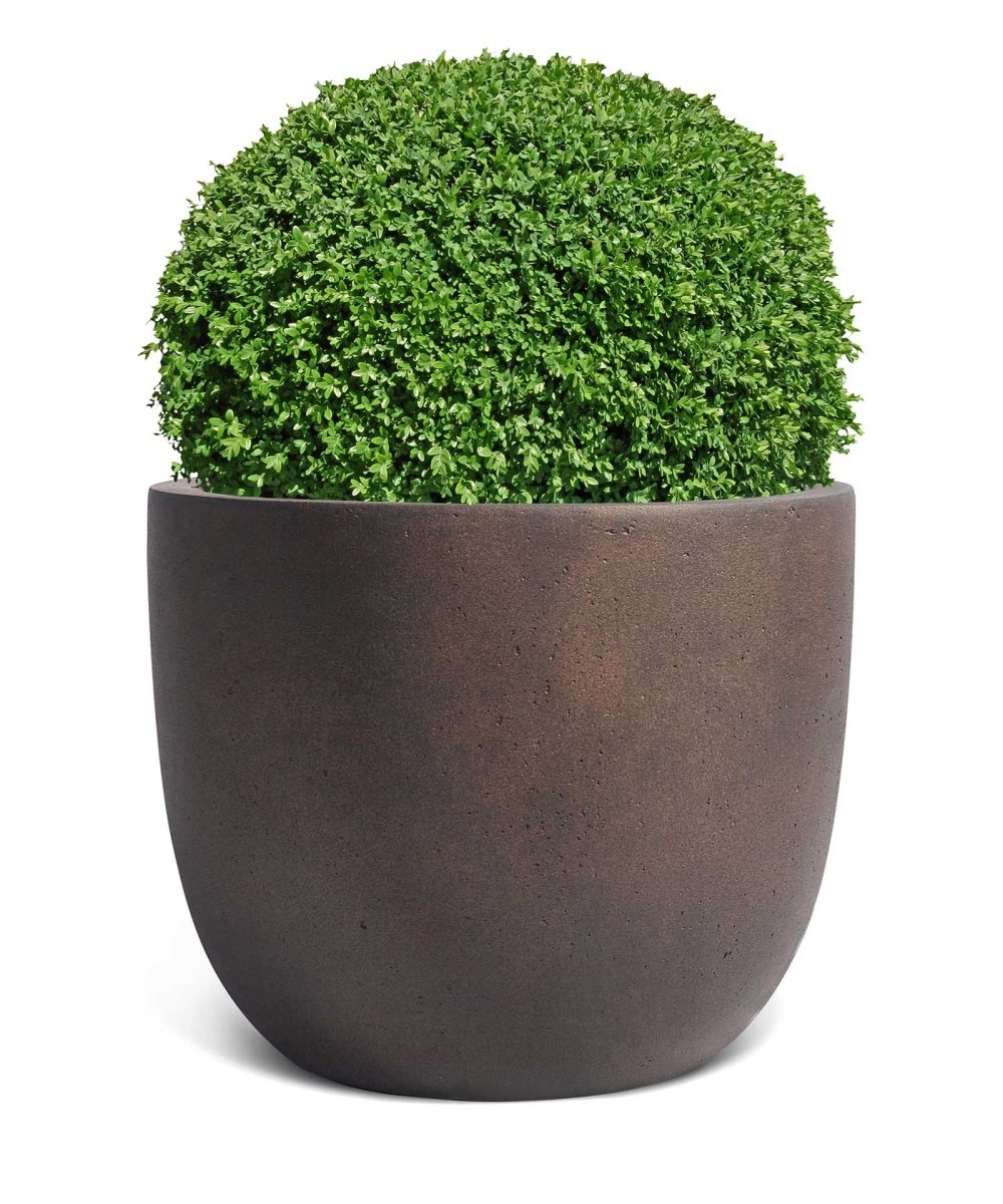 New Egg Pot | Loft Collection | Rust Brown - ESCHBACH