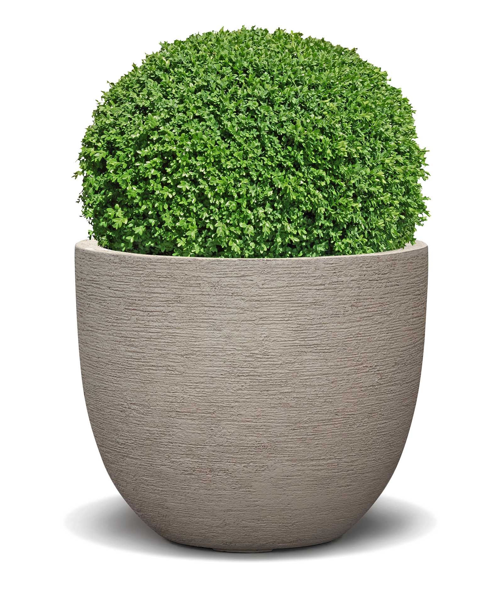 New Egg Pot | Terra Collection | Desert Beige