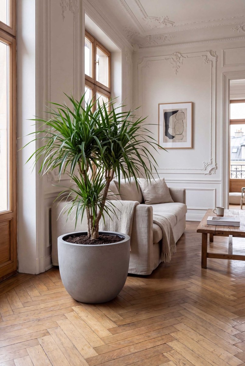 New Egg Pot | Loft Collection | Light Grey - ESCHBACH