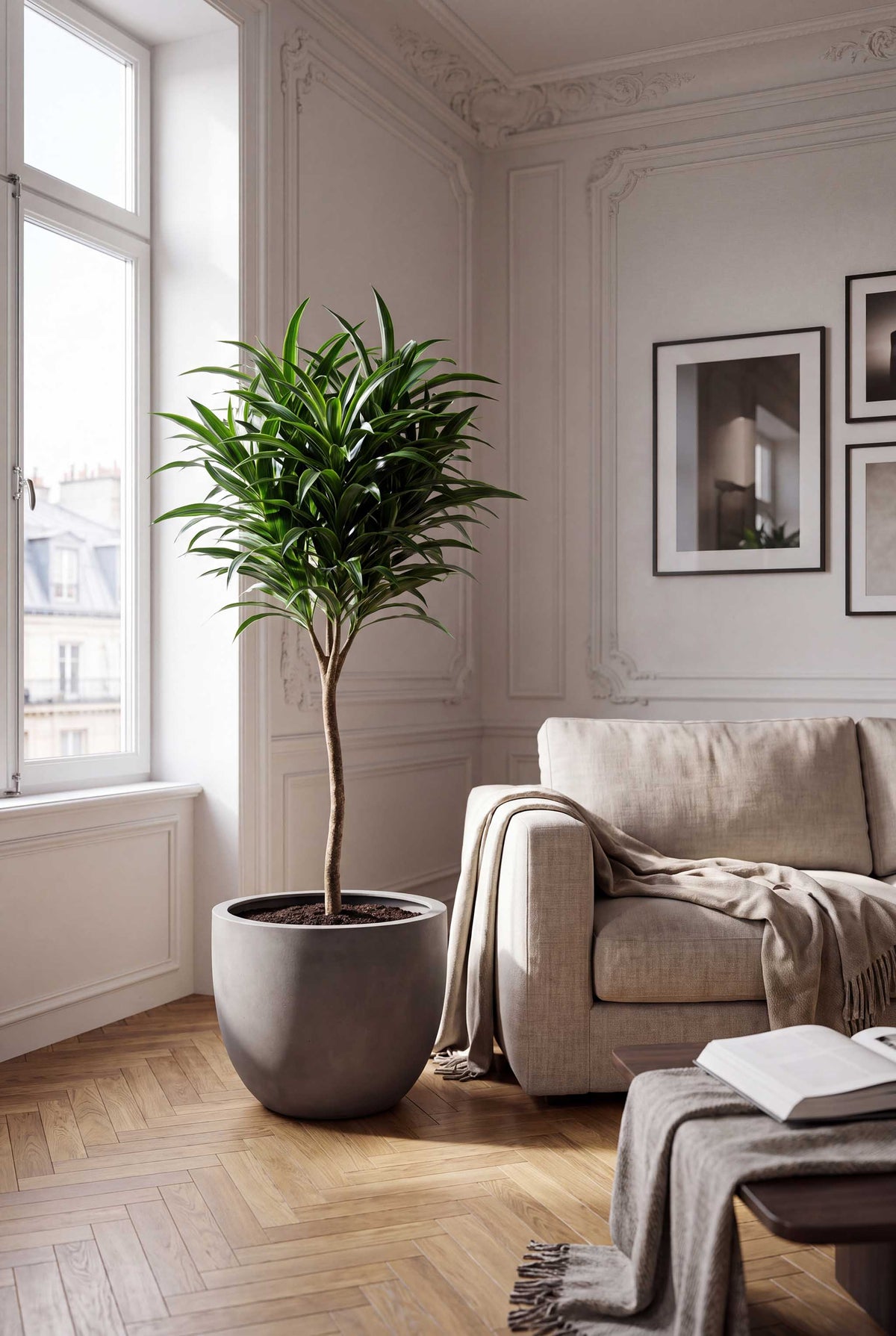 New Egg Pot | Loft Collection | Concrete Grey