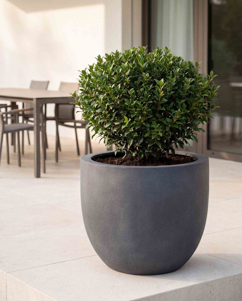 New Egg Pot | Loft Collection | Lead Grey - ESCHBACH