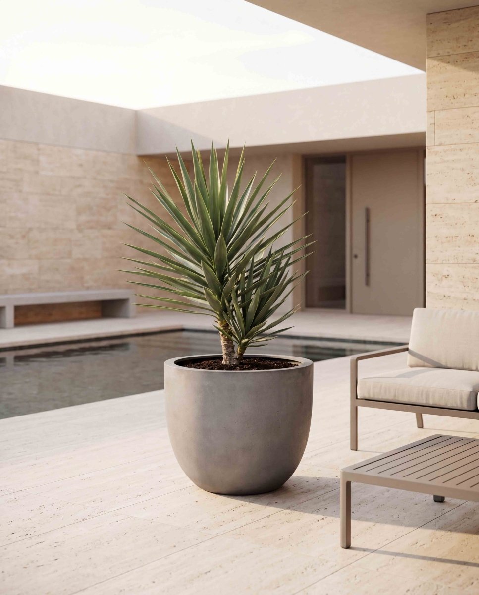 New Egg Pot | Loft Collection | Concrete Grey - ESCHBACH