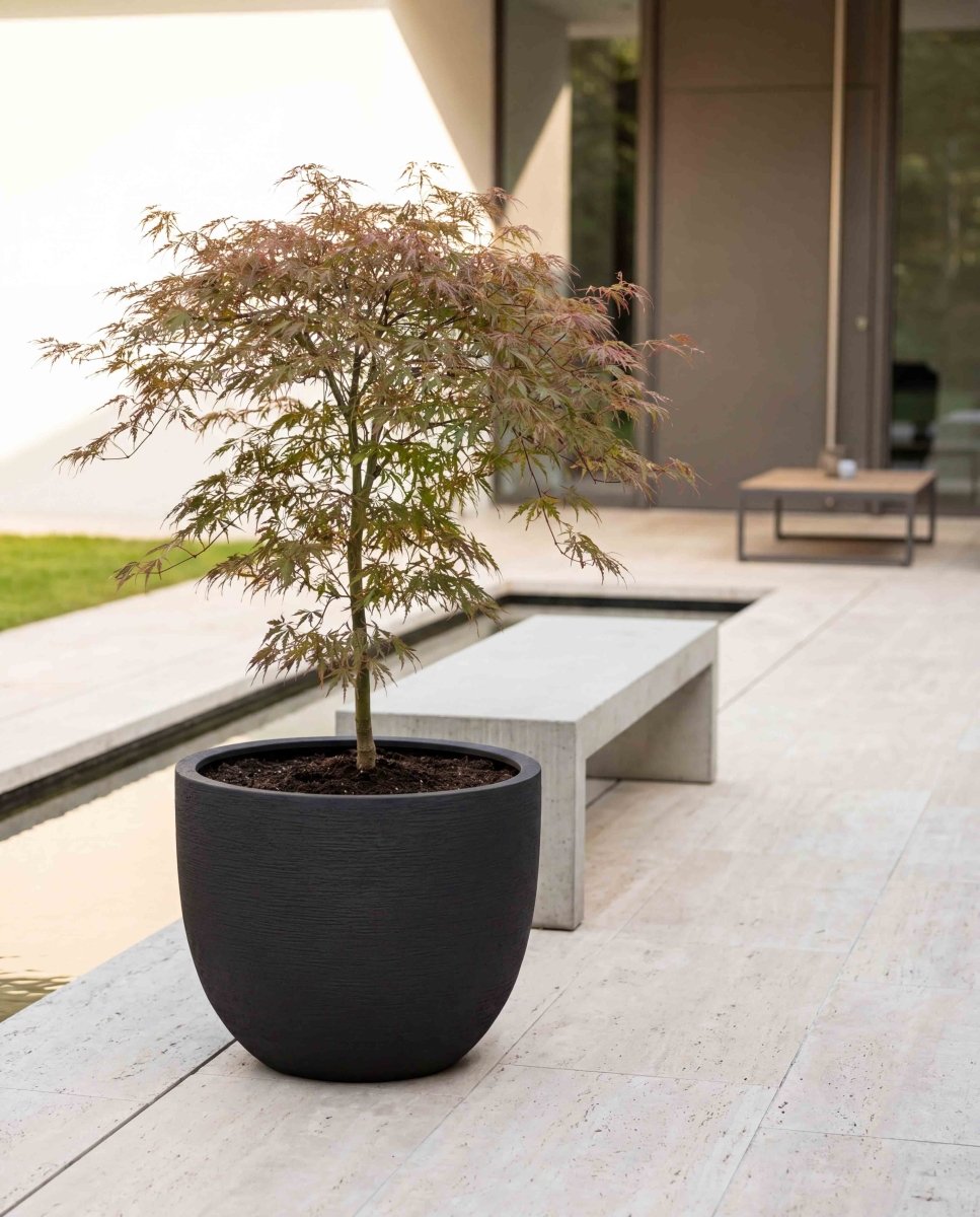 New Egg Pot | Terra Collection | Black Sand - ESCHBACH