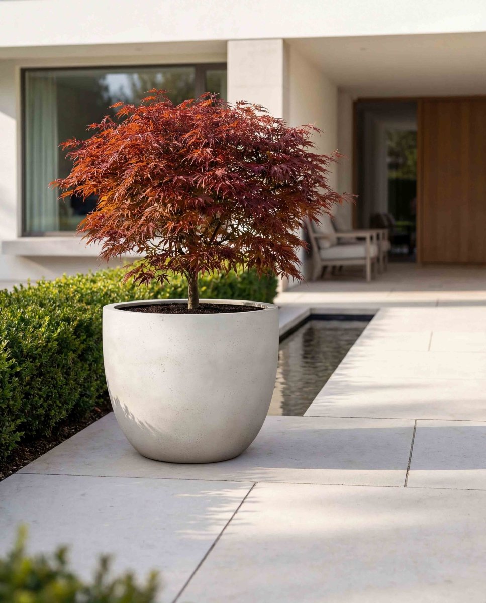 New Egg Pot | Loft Collection | Off White - ESCHBACH