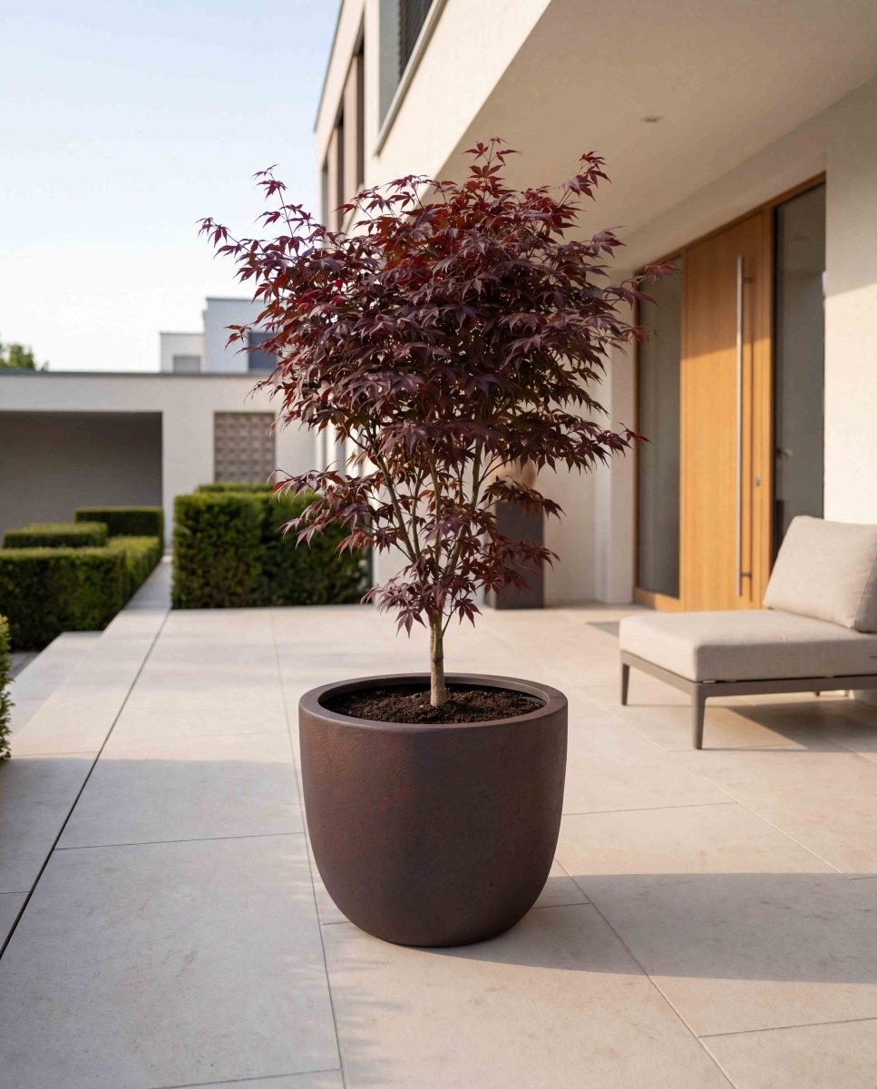 New Egg Pot | Loft Collection | Rust Brown - ESCHBACH