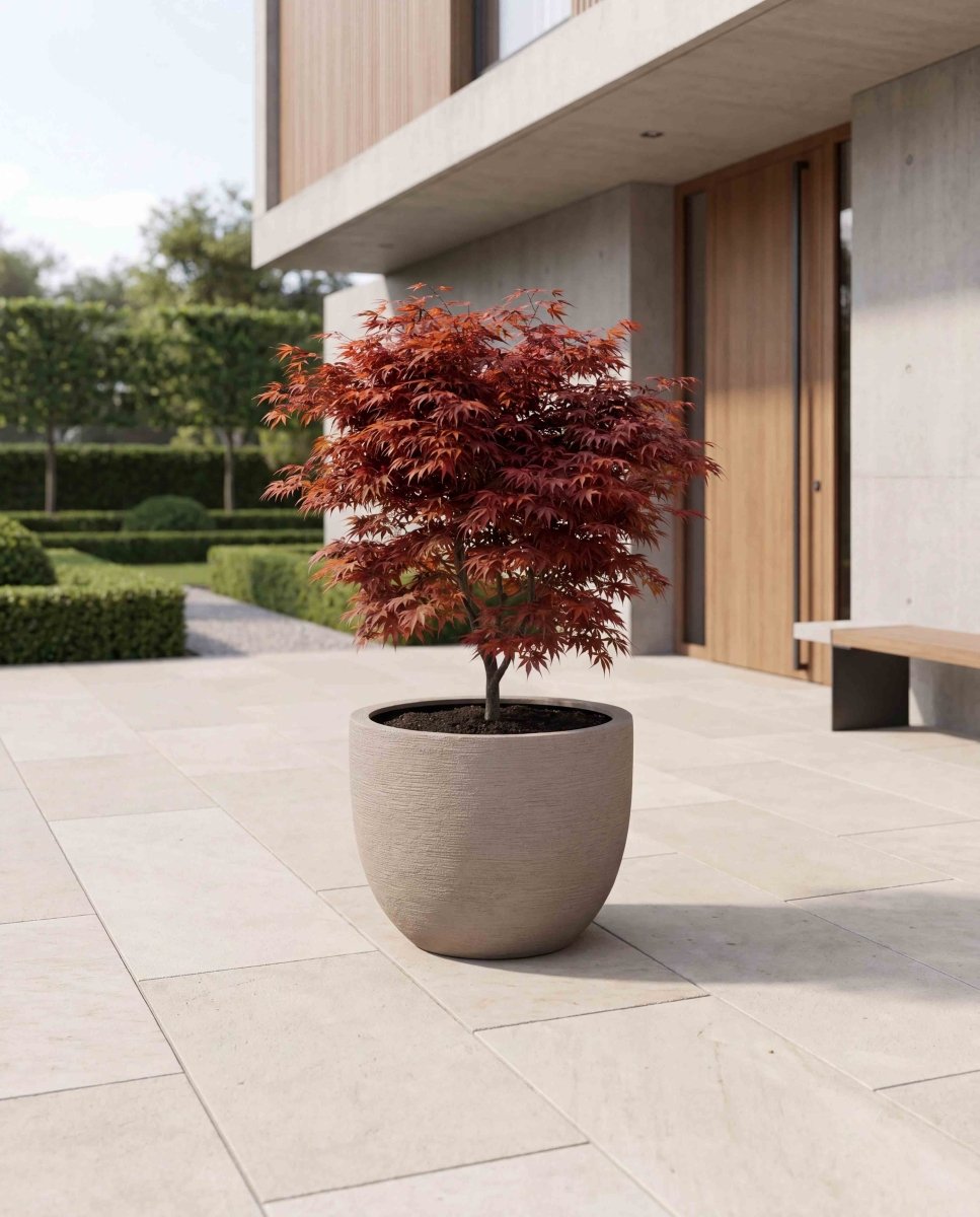 New Egg Pot | Terra Collection | Desert Beige - ESCHBACH