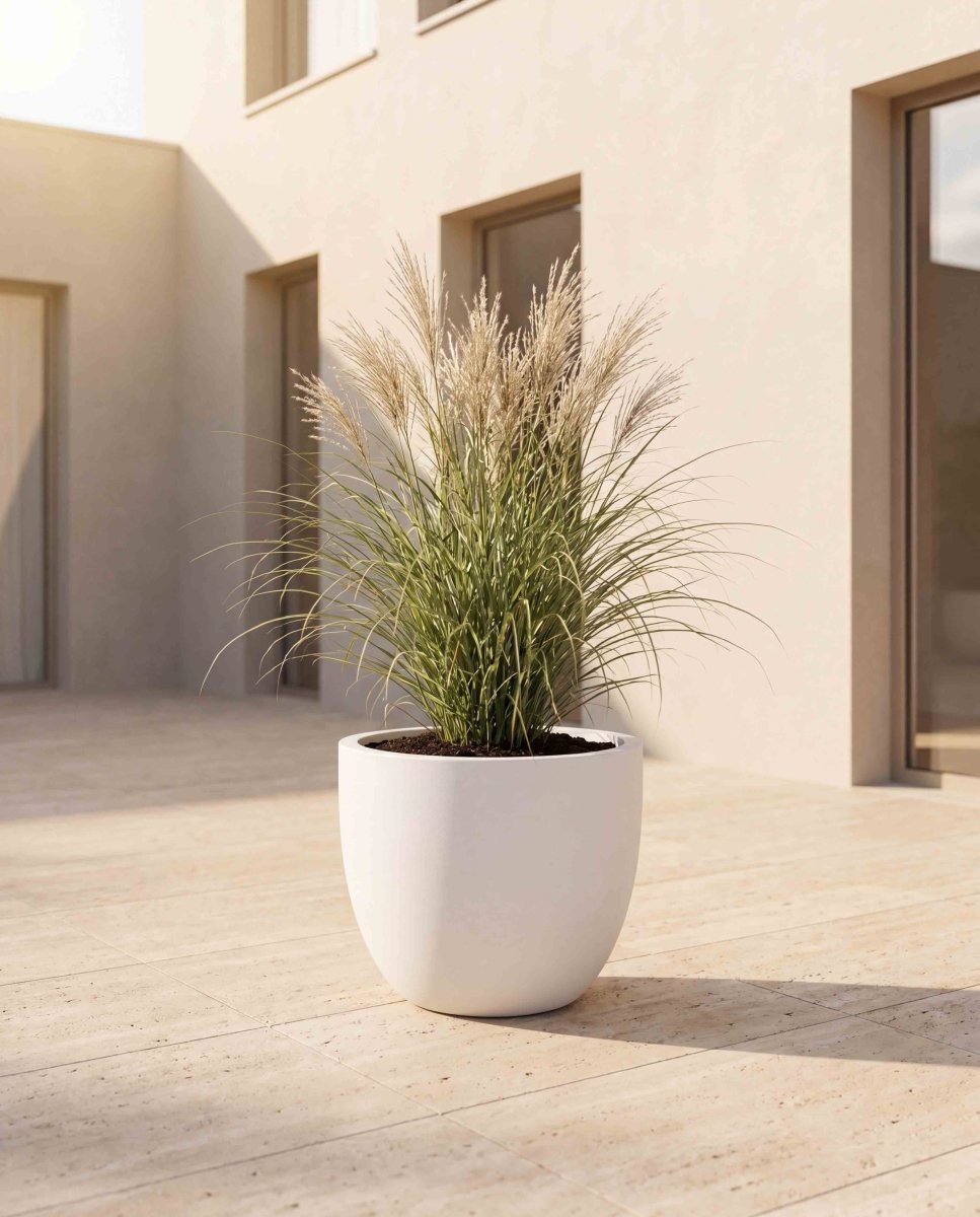 New Egg Pot | Pure Collection | Santorin White - ESCHBACH