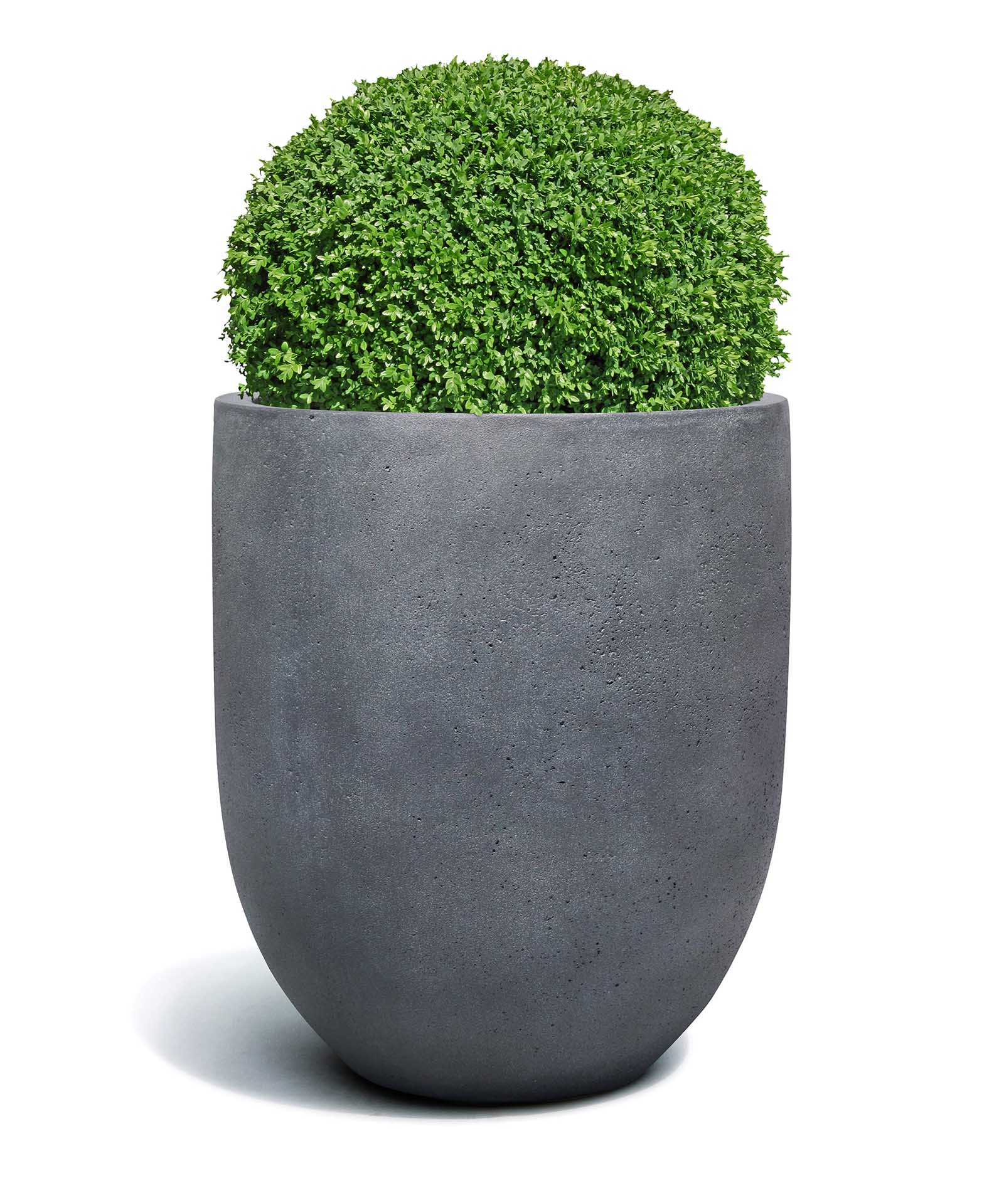 Tall Egg Pot | Loft Collection | Lead Grey