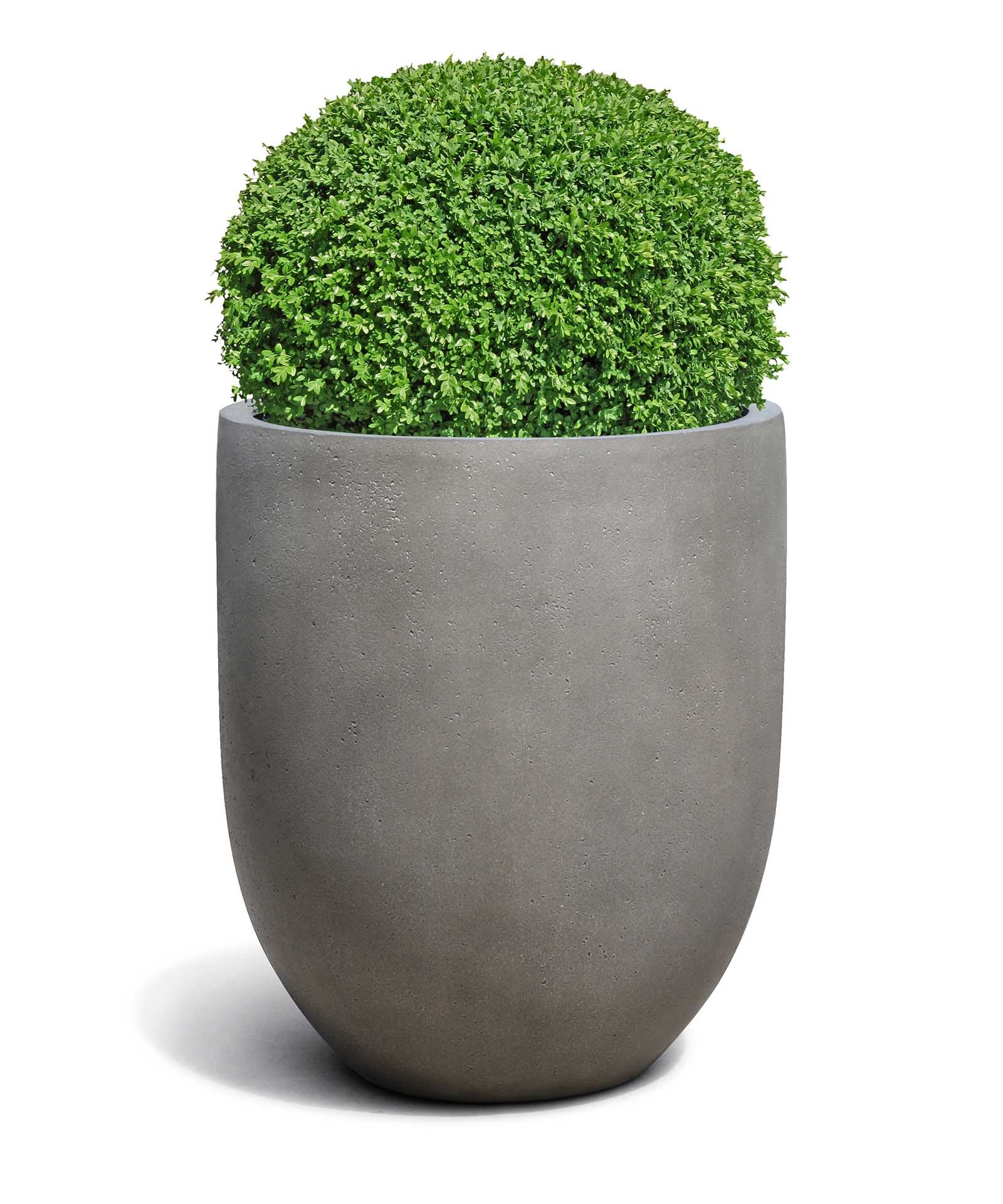 Tall Egg Pot | Loft Collection | Concrete Grey