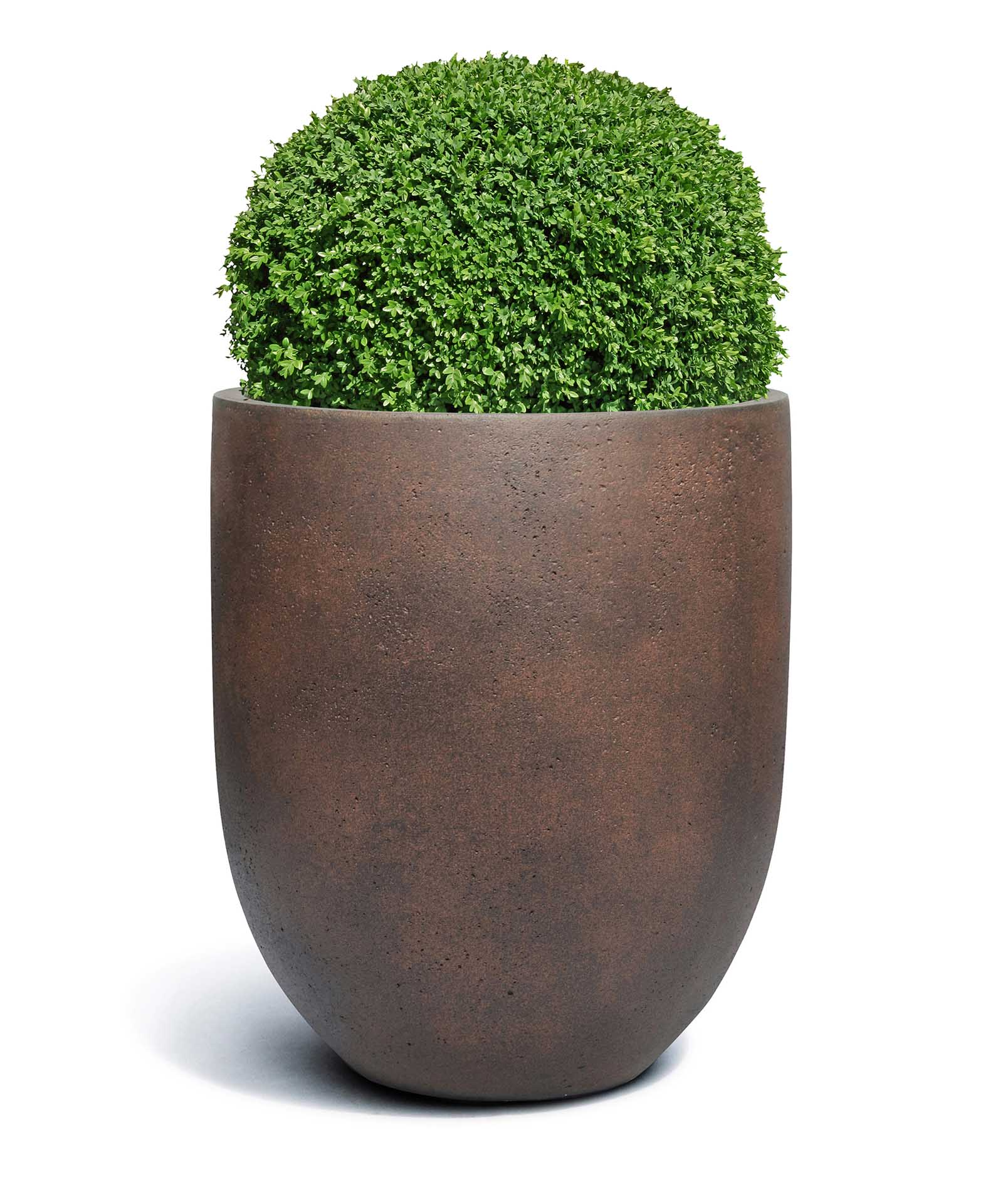 Tall Egg Pot | Loft Collection | Rust Brown