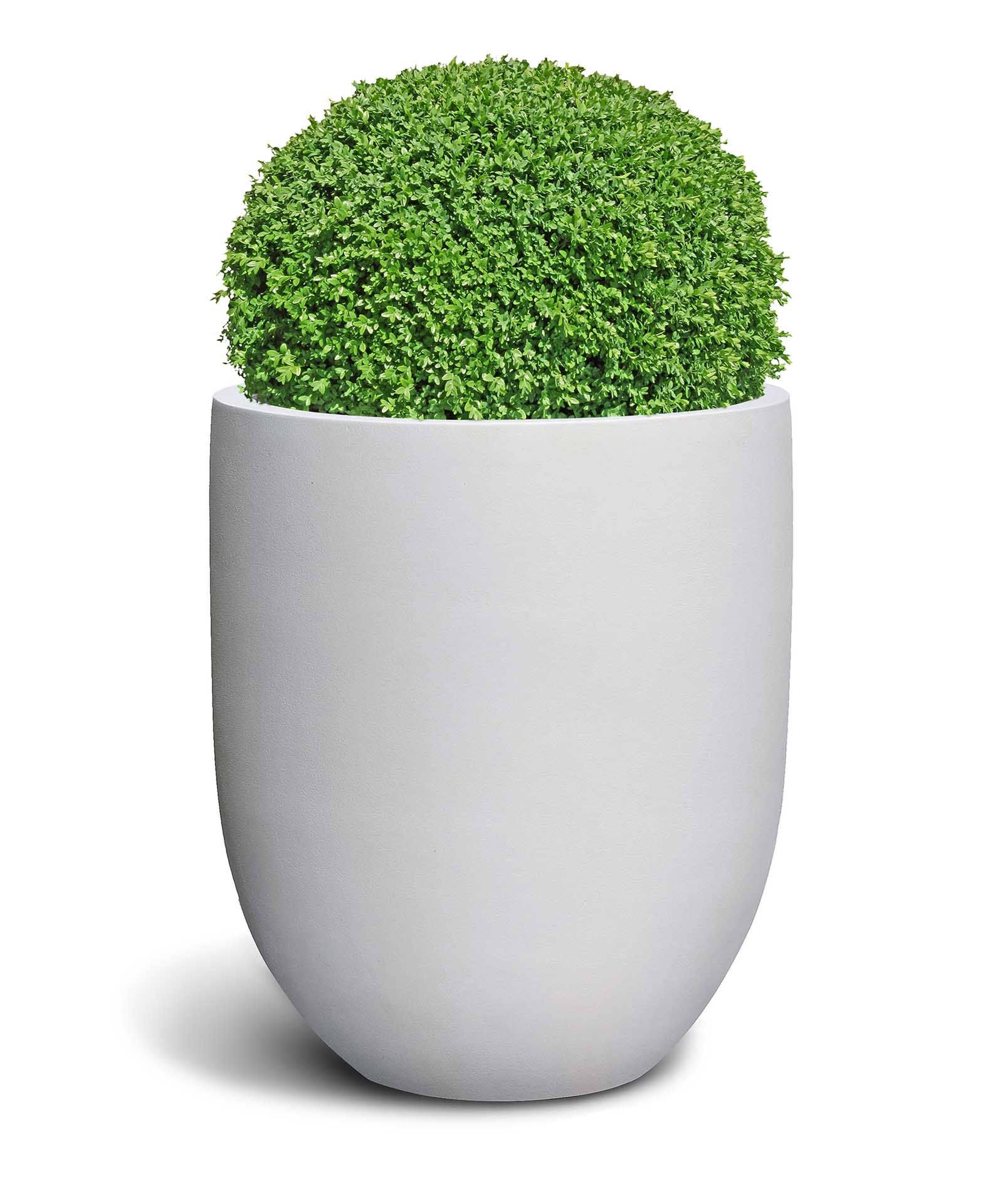 Tall Egg Pot | Pure Collection | Santorin White