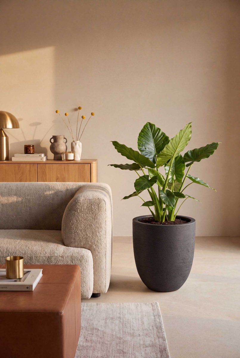 Tall Egg Pot | Terra Collection | Black Sand - ESCHBACH