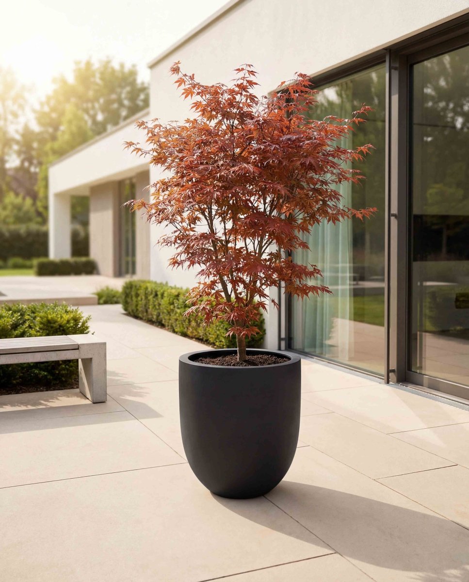 Tall Egg Pot | Pure Collection | Onyx Black - ESCHBACH