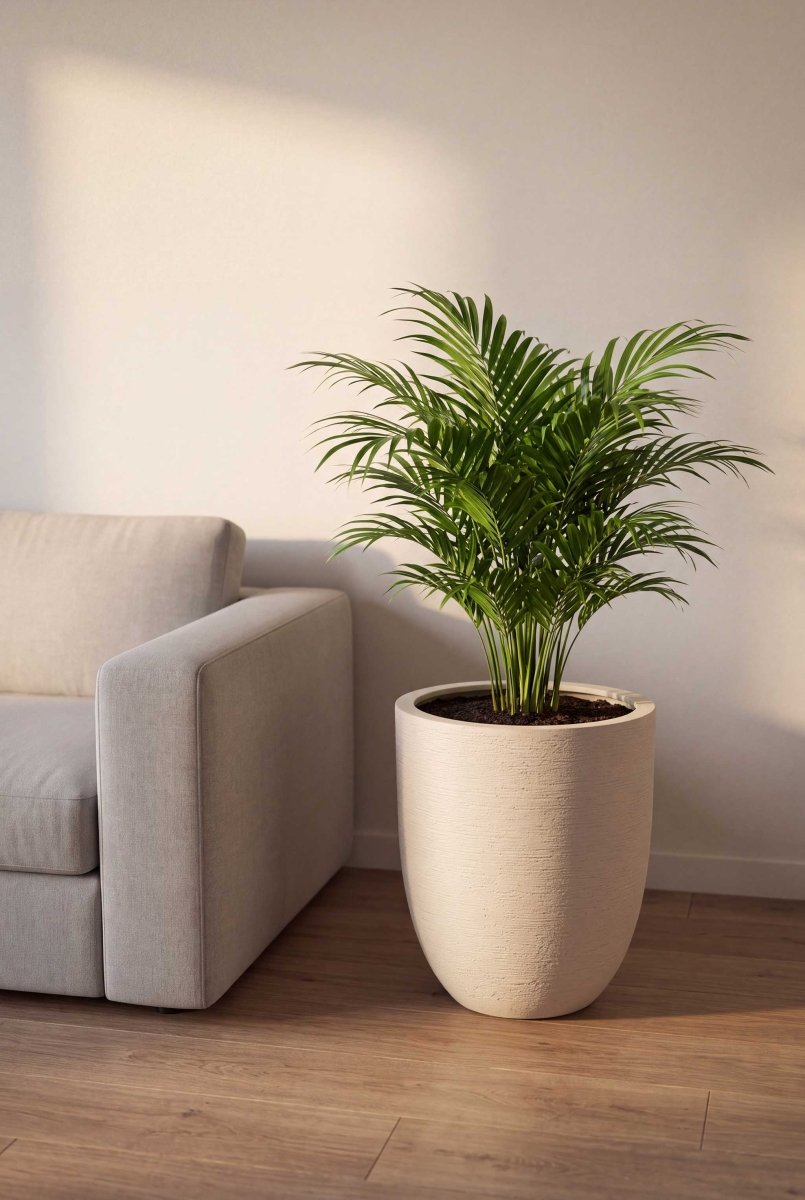 Tall Egg Pot | Terra Collection | Champagne White - ESCHBACH
