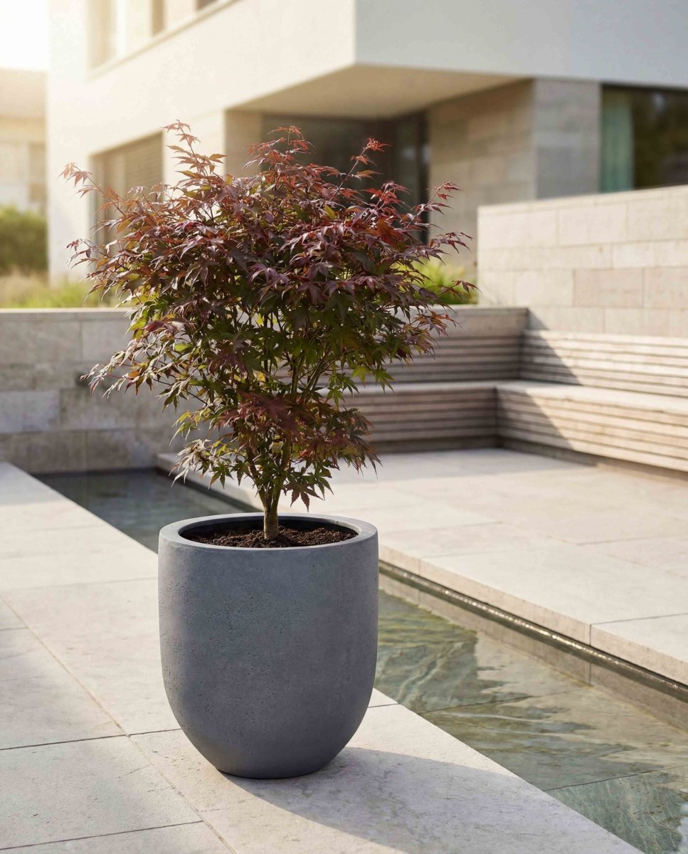 Tall Egg Pot | Loft Collection | Lead Grey - ESCHBACH