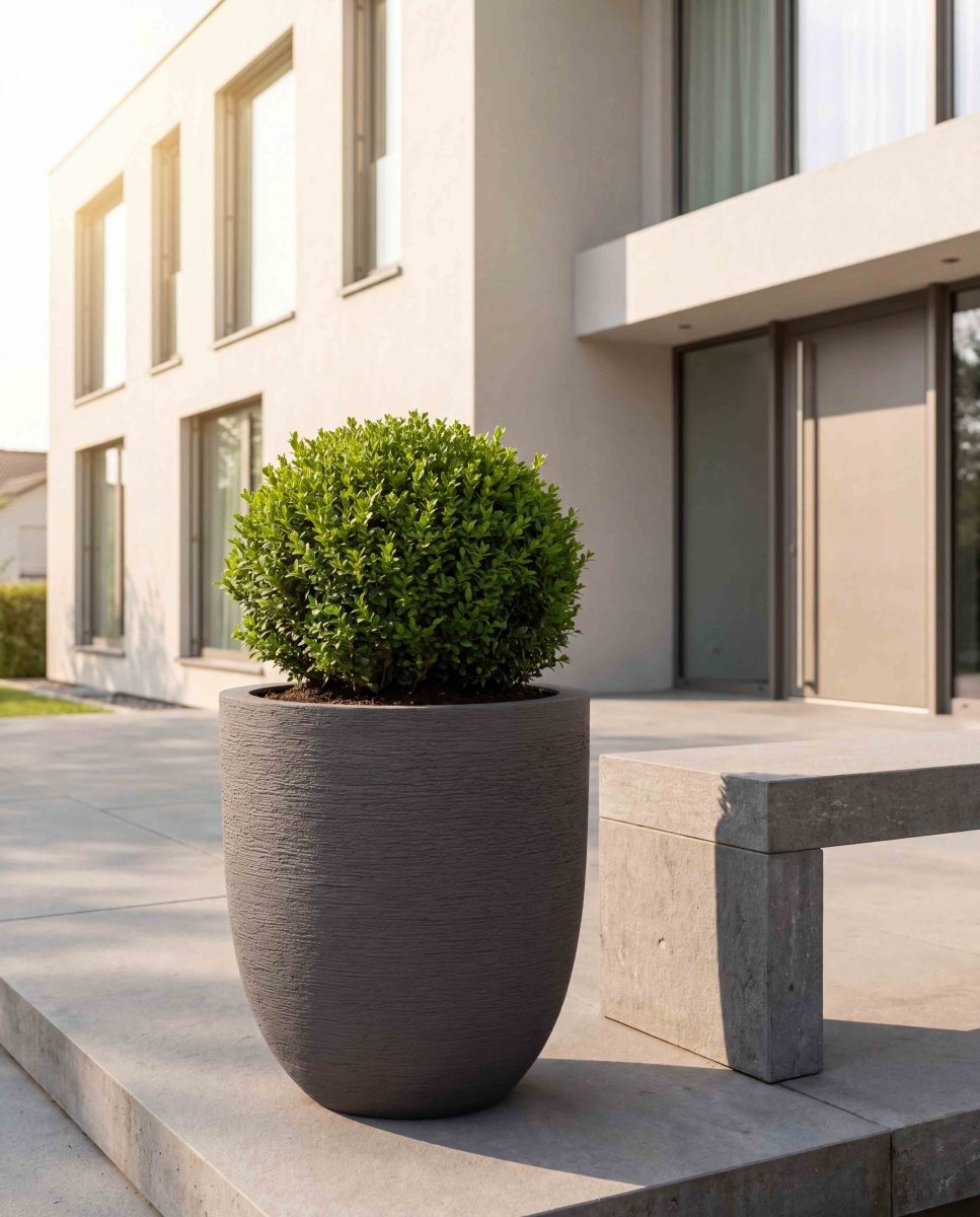 Tall Egg Pot | Terra Collection | Macchiato Grey - ESCHBACH