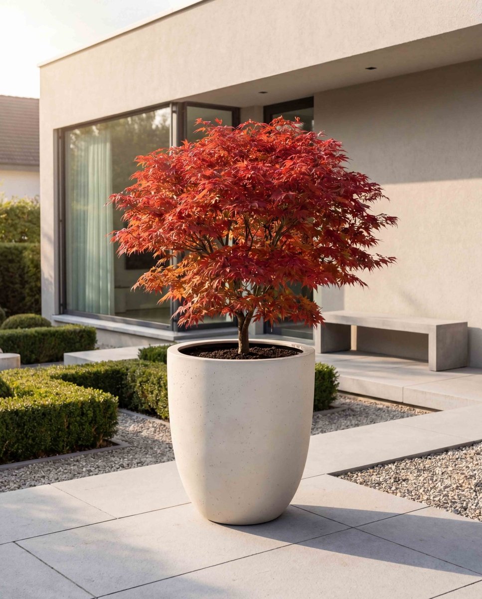 Tall Egg Pot | Loft Collection | Off White - ESCHBACH