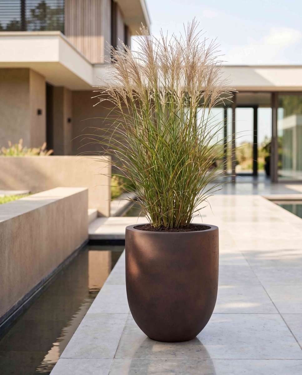 Tall Egg Pot | Loft Collection | Rust Brown - ESCHBACH