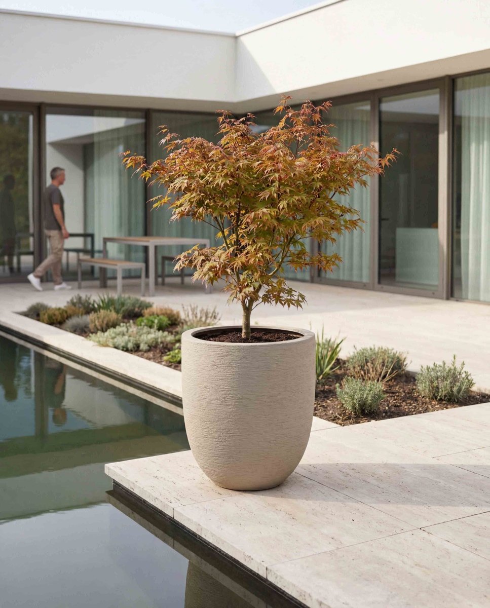 Tall Egg Pot | Terra Collection | Desert Beige - ESCHBACH