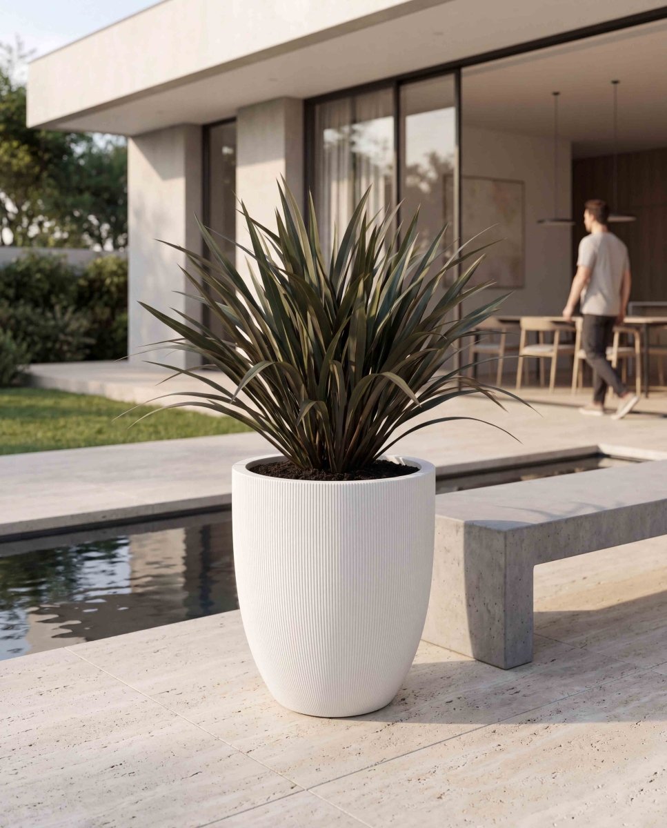 Tall Egg Pot | Vertical Lines Collection | Vertical White - ESCHBACH
