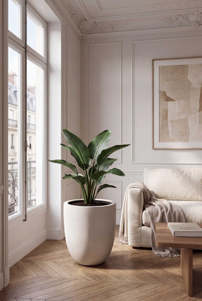 Tall Egg Pot | Loft Collection | Off White - ESCHBACH