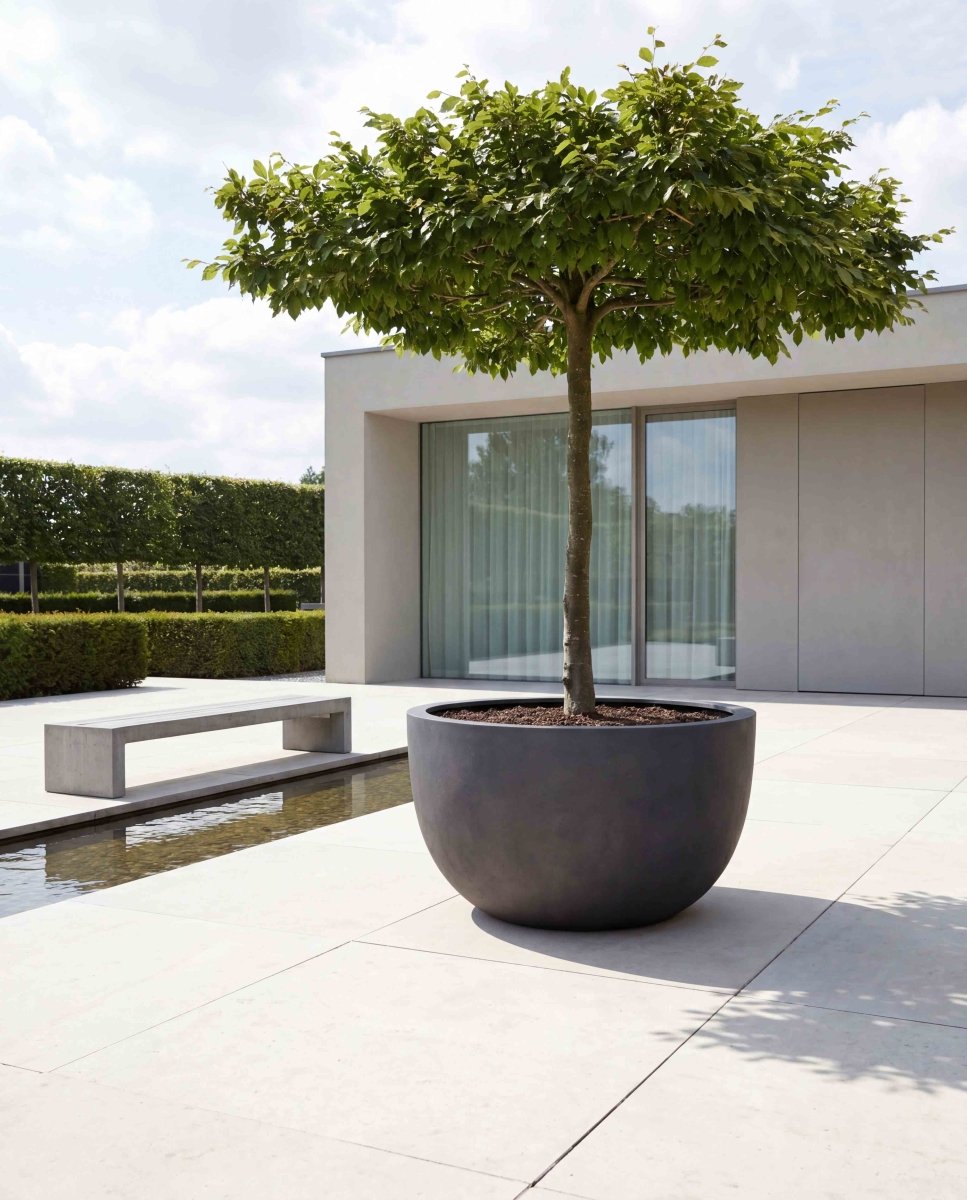 Grand Egg Pot | Loft Collection | Espresso Black - ESCHBACH