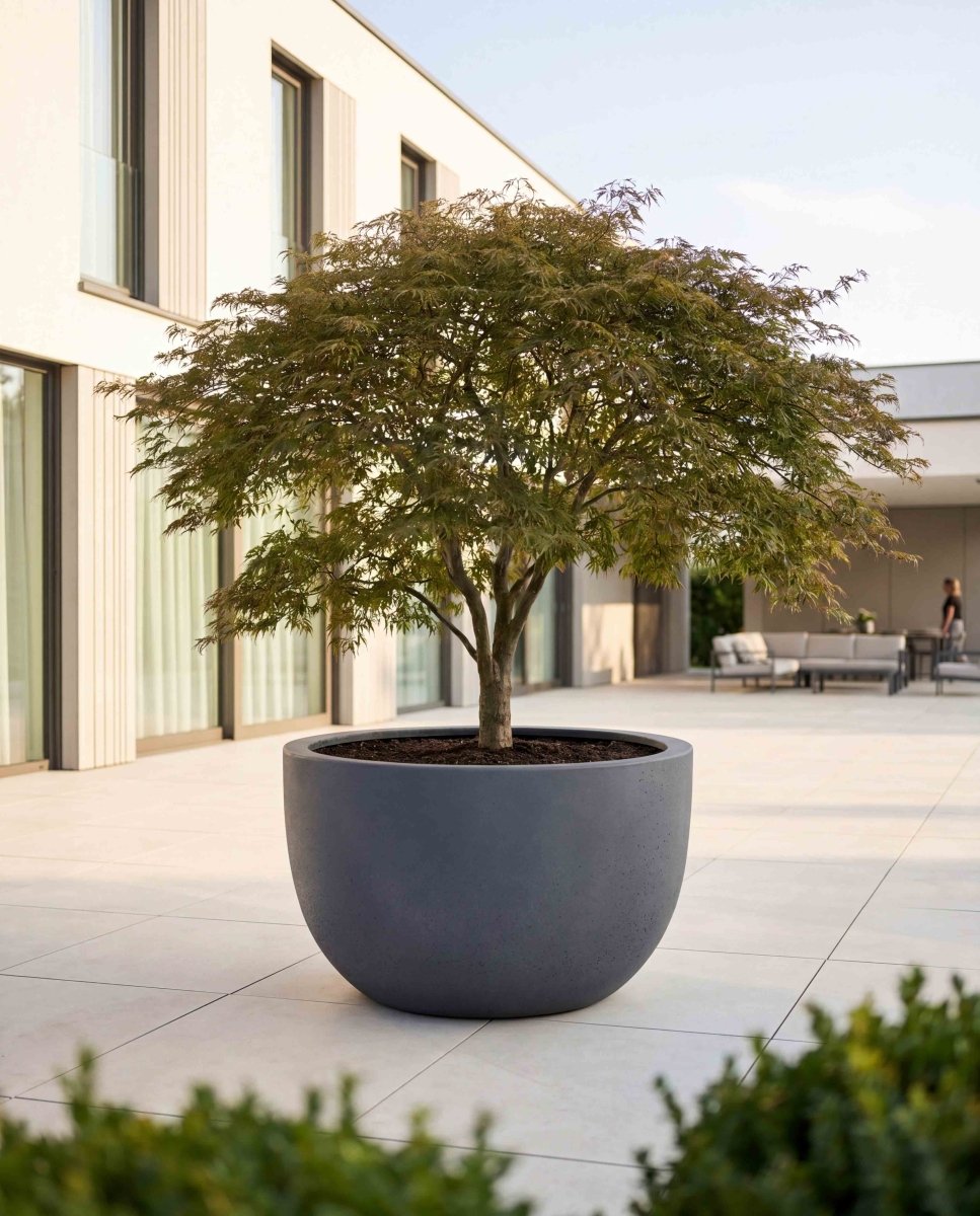 Grand Egg Pot | Loft Collection | Lead Grey - ESCHBACH