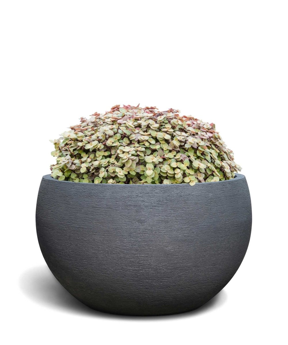 Grand Bowl | Terra Collection | Black Sand - ESCHBACH