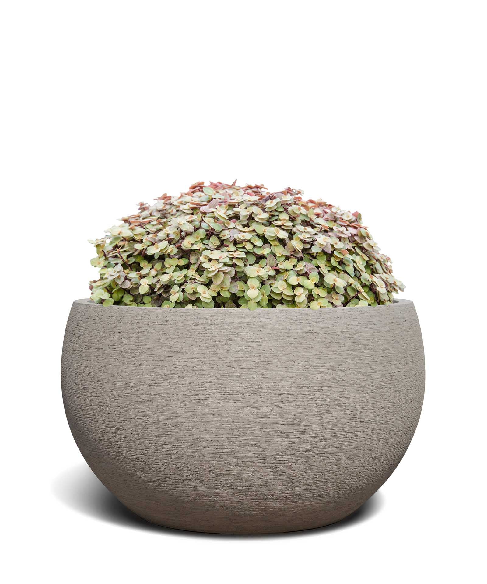 Grand Bowl | Terra Collection | Desert Beige