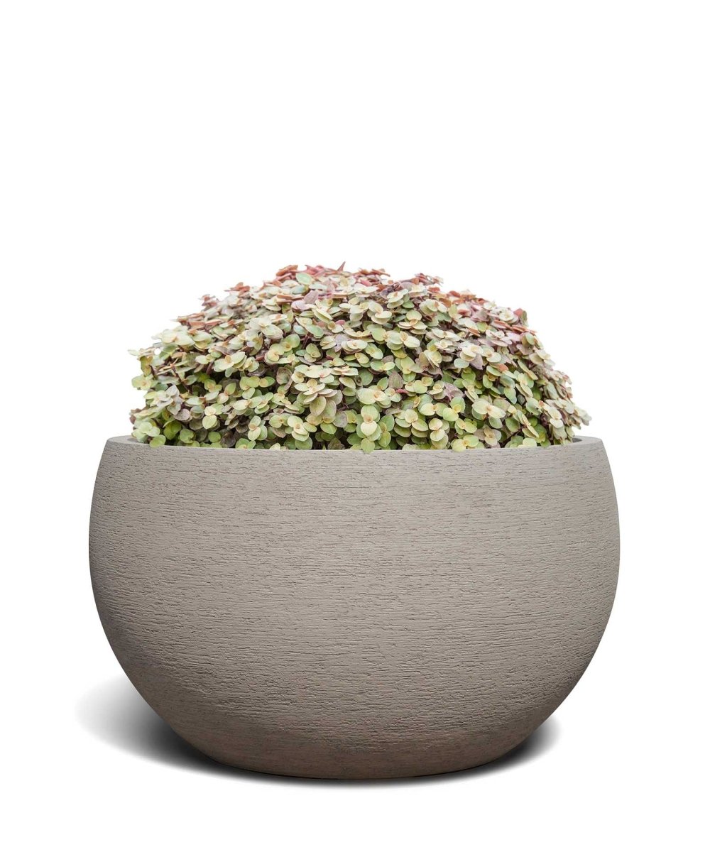 Grand Bowl | Terra Collection | Desert Beige - ESCHBACH