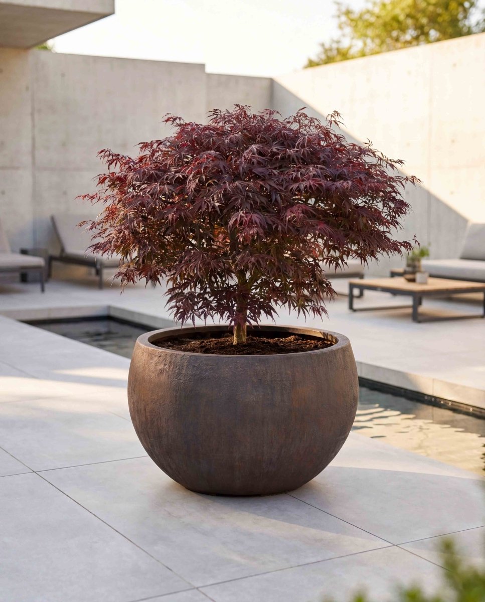 Grand Bowl | Antique Stone Collection | Bronze - ESCHBACH