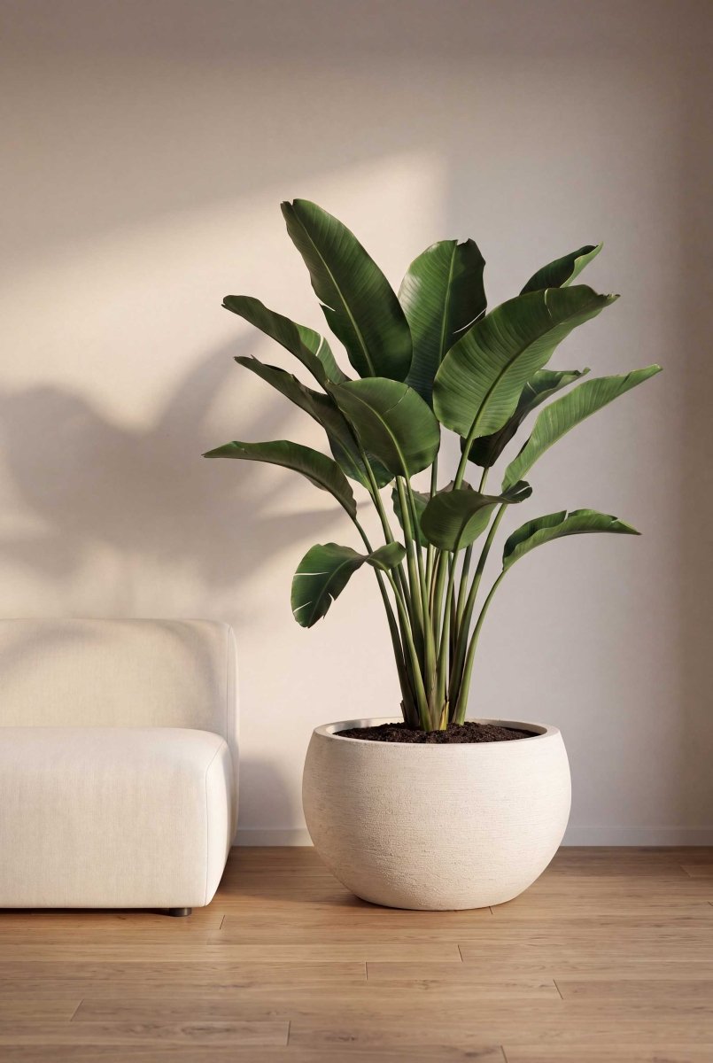 Grand Bowl | Terra Collection | Champagne White - ESCHBACH