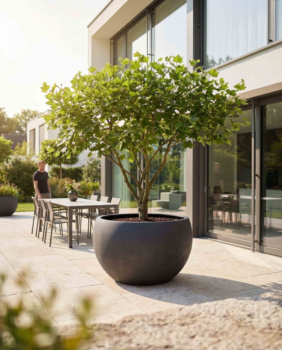 Grand Bowl | Loft Collection | Espresso Black - ESCHBACH