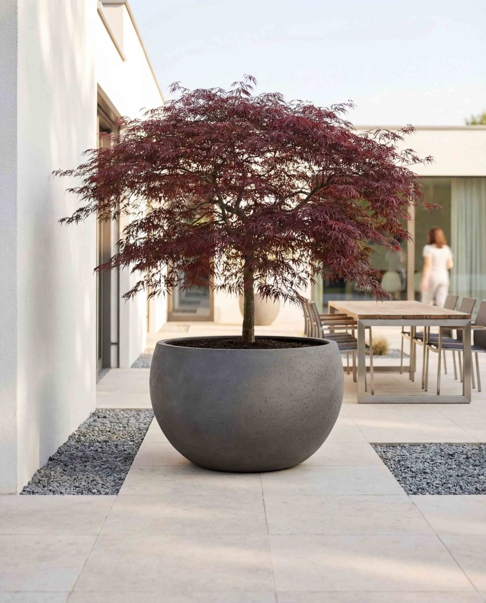 Grand Bowl | Loft Collection | Concrete Grey - ESCHBACH