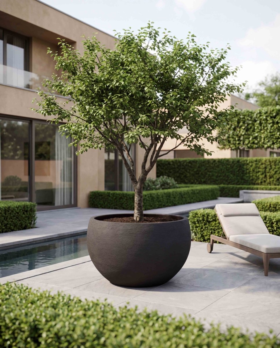 Grand Bowl | Terra Collection | Black Sand - ESCHBACH