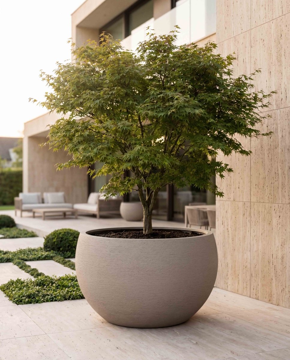 Grand Bowl | Terra Collection | Desert Beige - ESCHBACH