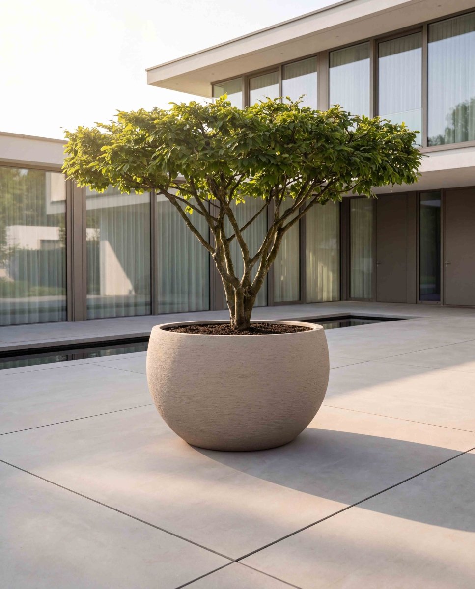 Grand Bowl | Terra Collection | Desert Beige - ESCHBACH