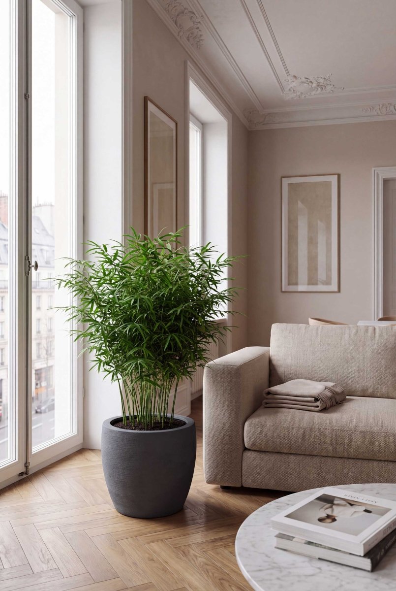 Vase | Terra Collection | Lead Grey - ESCHBACH