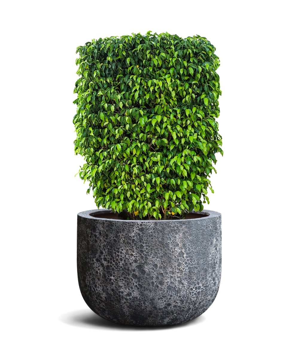 U Pot | Lava Collection | Volcanic Black - ESCHBACH