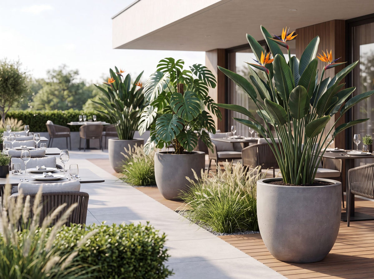 ESCHBACH Pflanzkübel auf einer Restaurantterrasse (09)