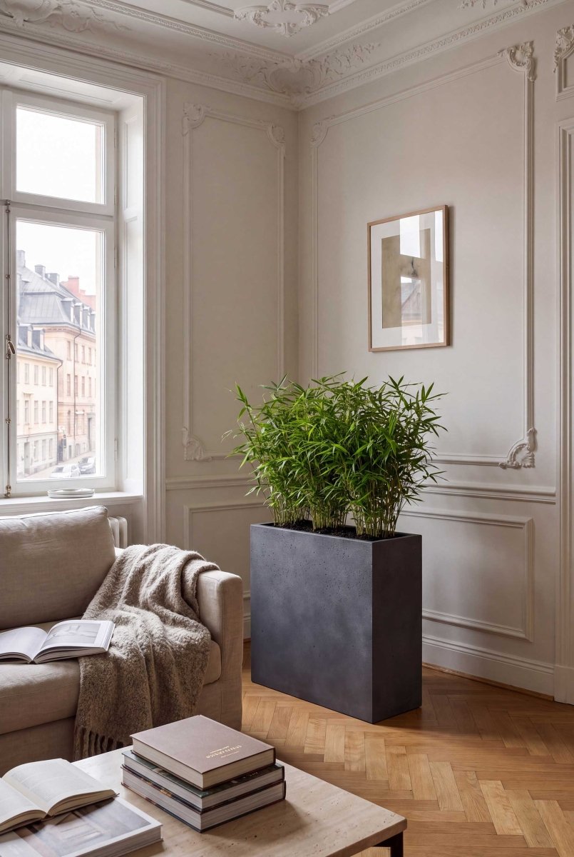 High Box | Loft Collection | Lead Grey - ESCHBACH